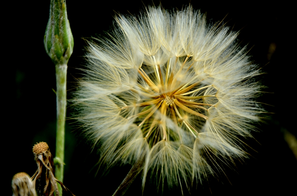 DSC_8389.JPG
