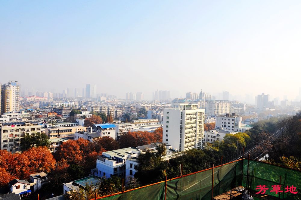 DSC_0520.jpg