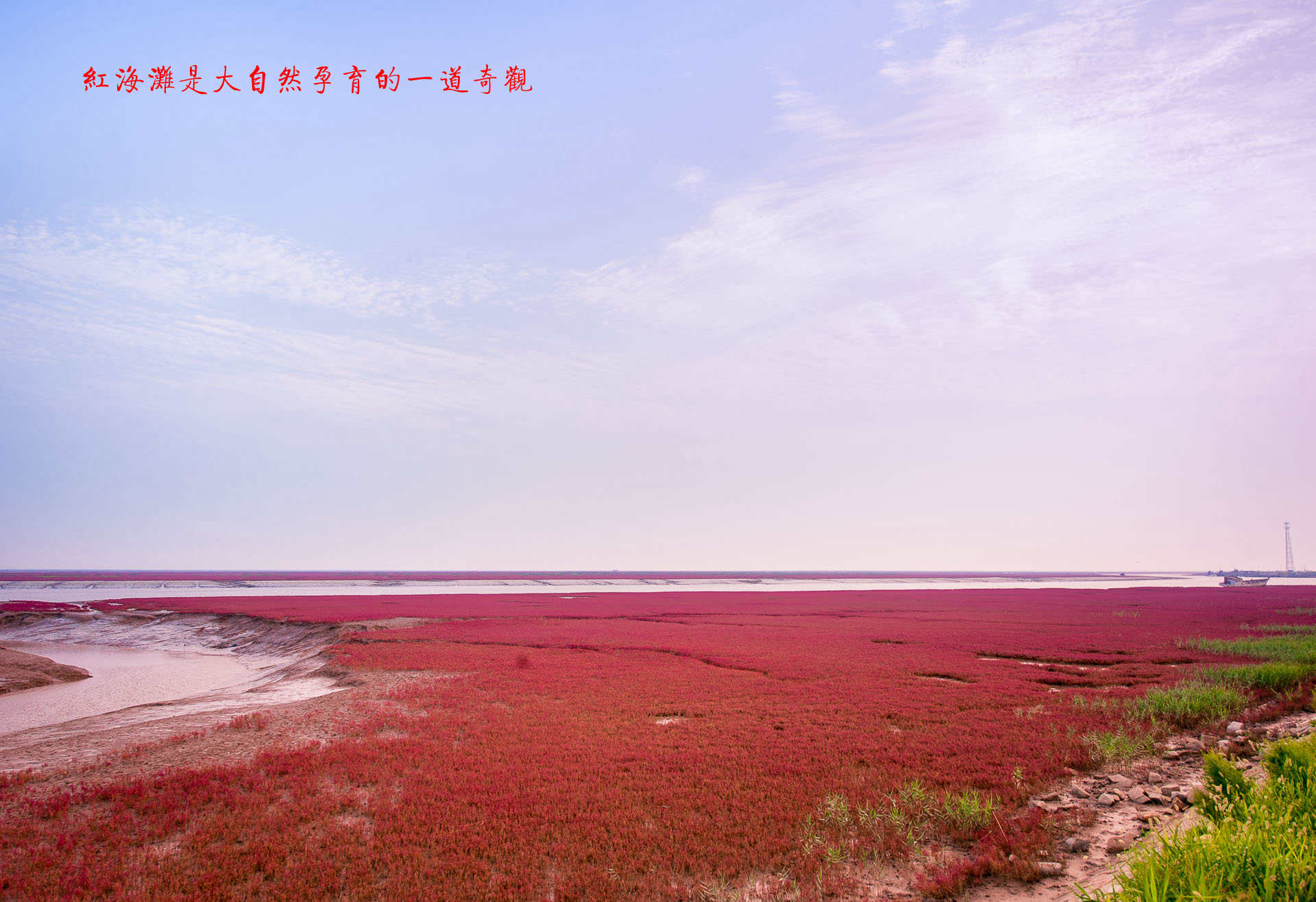 D70_1838.jpg