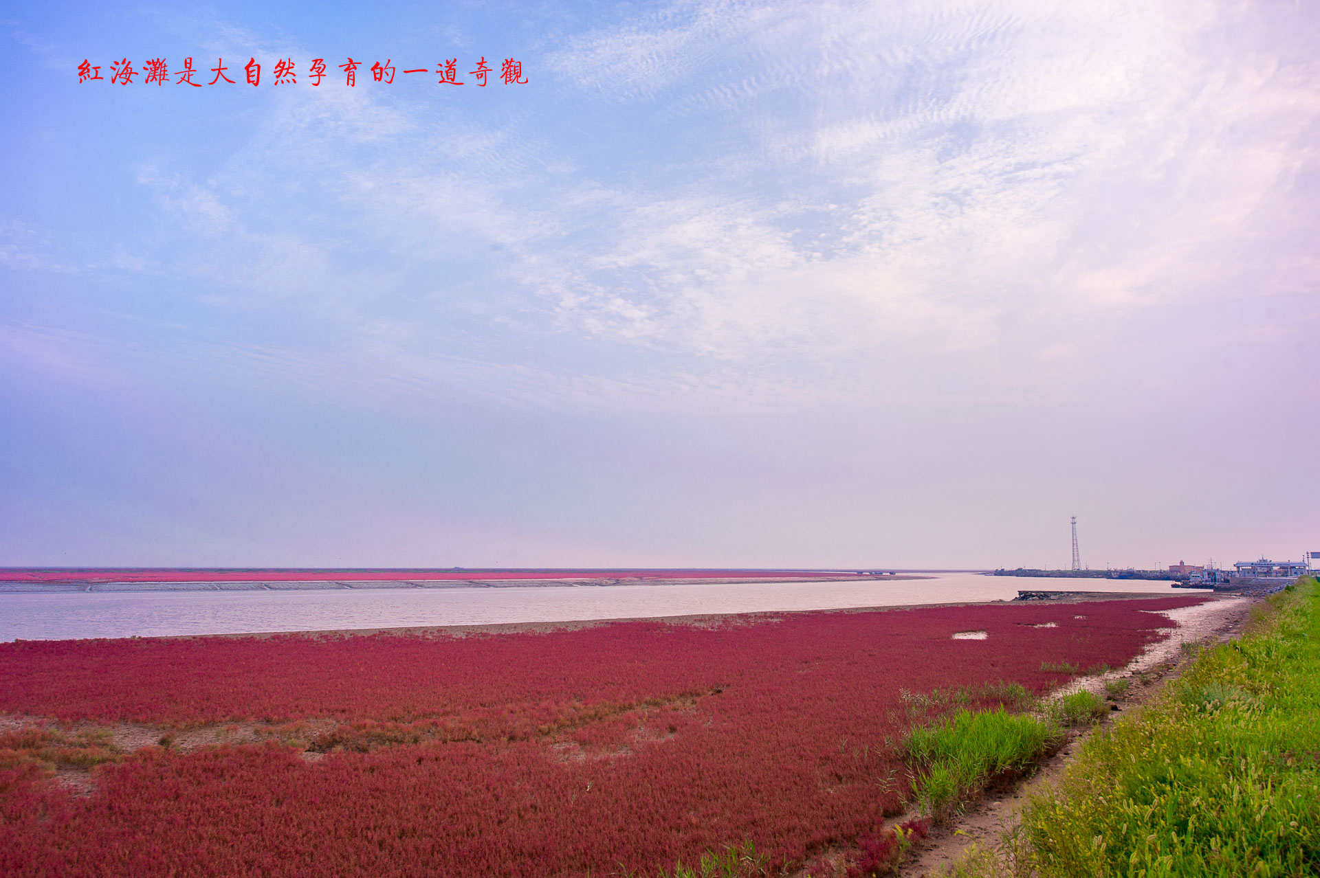 D70_1844.jpg