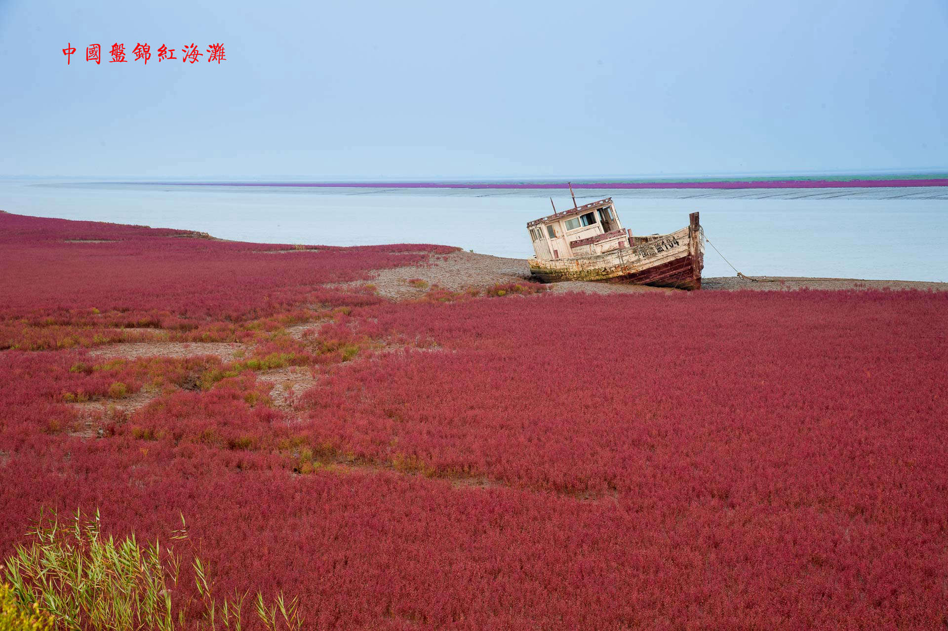 DSC_3645.jpg