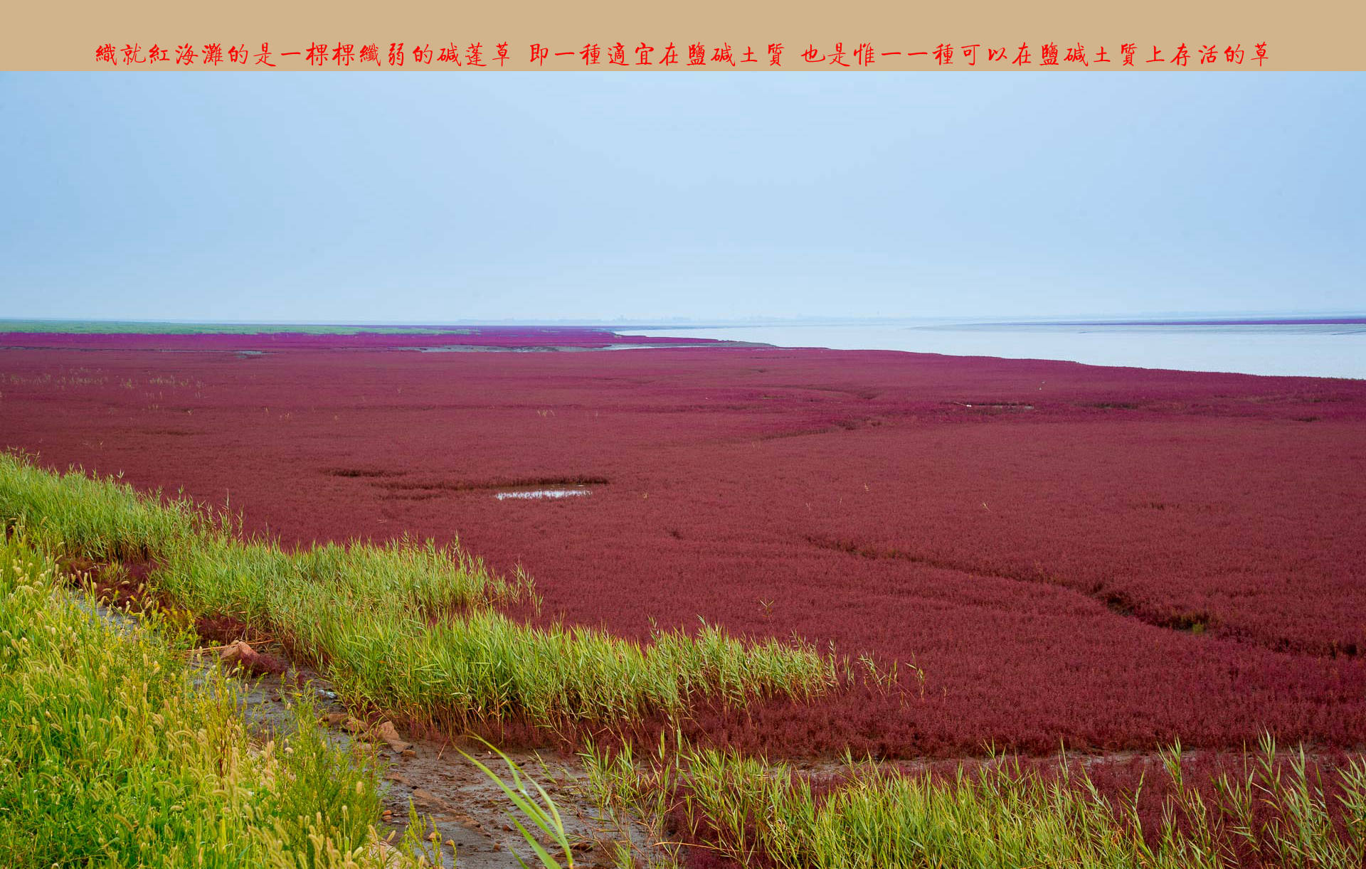 DSC_3630.jpg