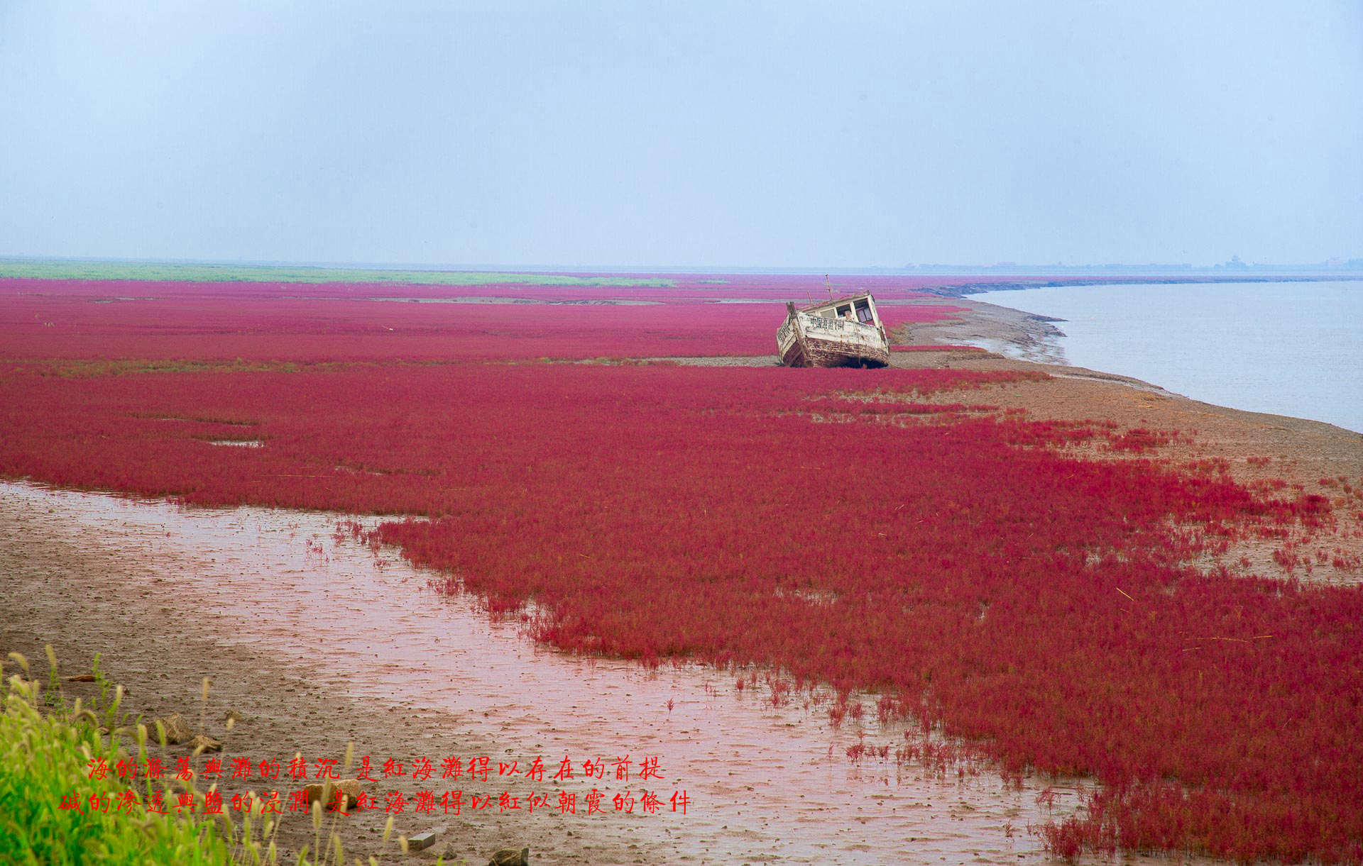 DSC_3648.jpg