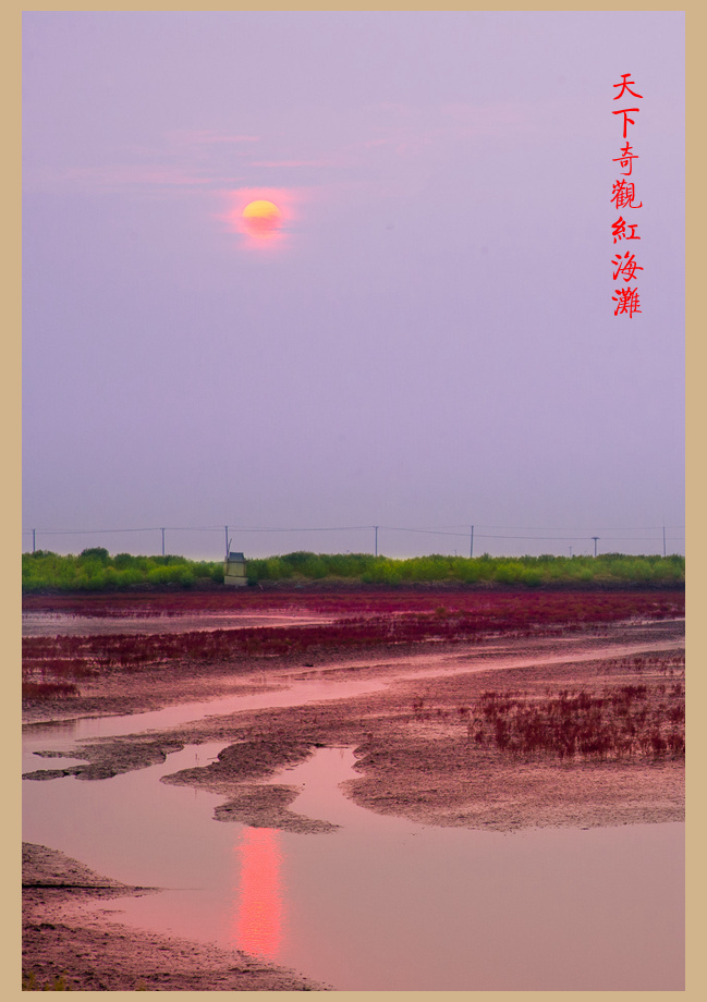 DSC_3663.jpg