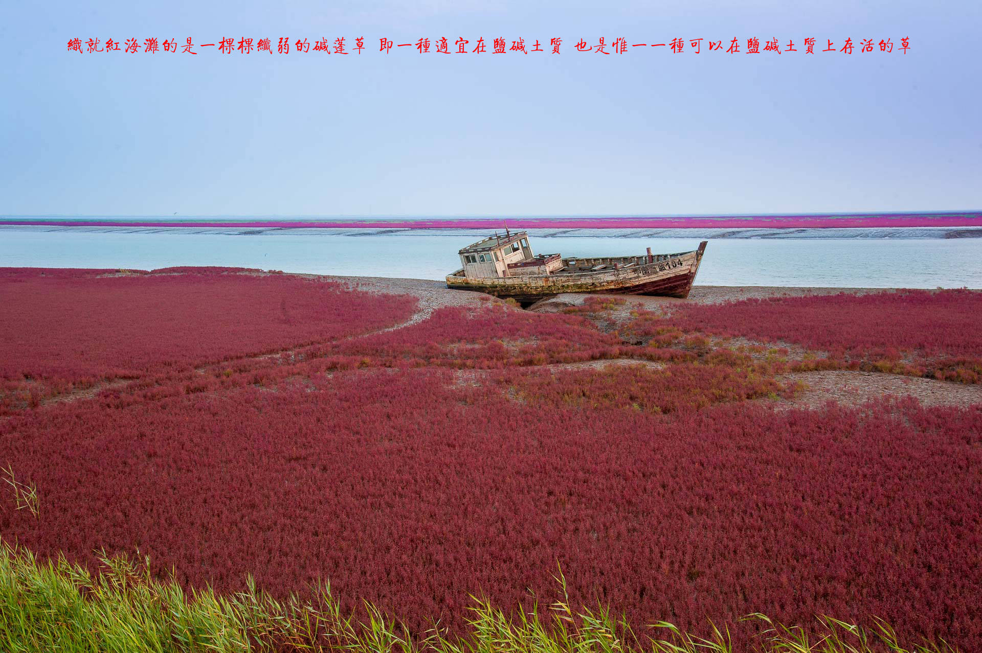 DSC_3629.jpg