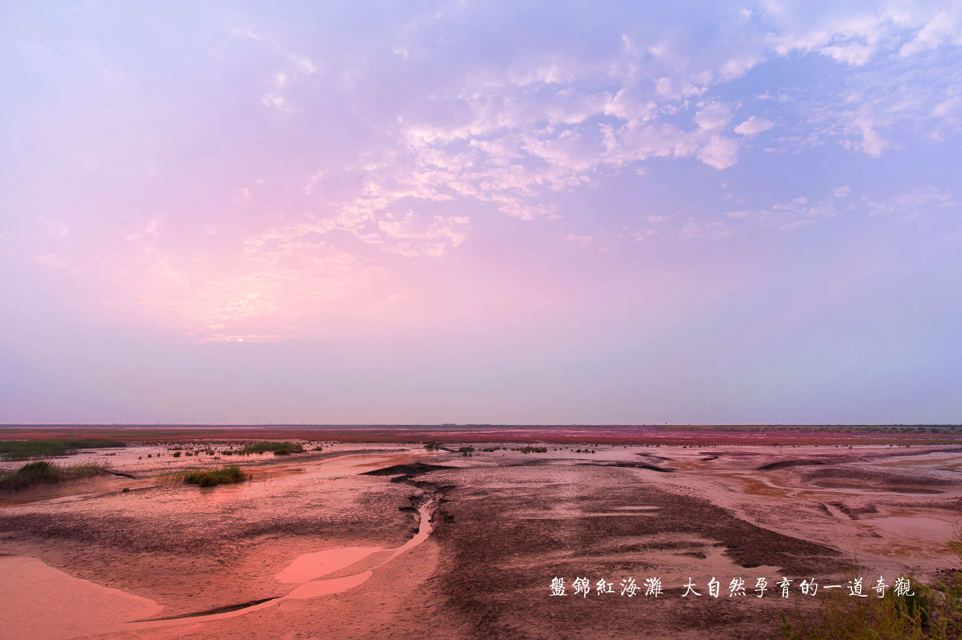 D70_1849.jpg