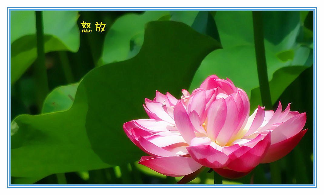 DSC04199_副本_副本.jpg