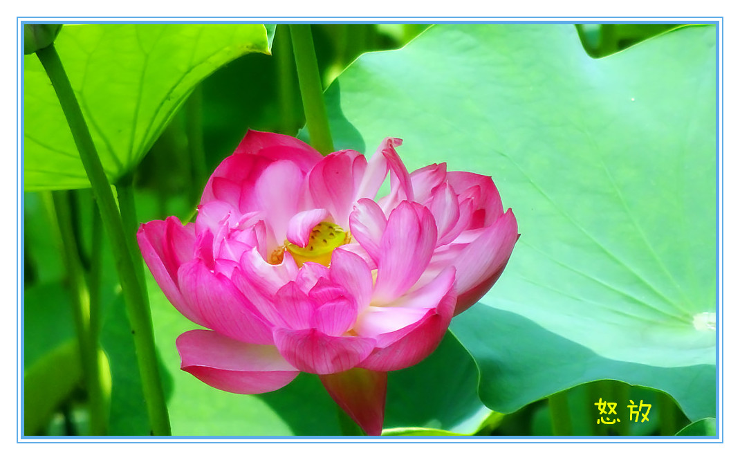 DSC04201_副本_副本.jpg