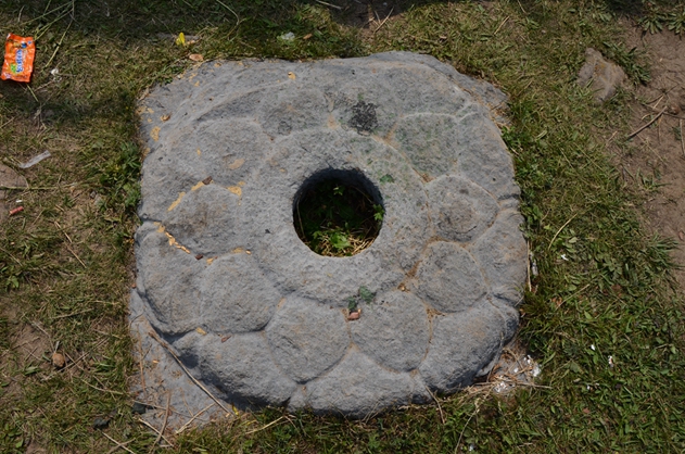 DSC_8695.JPG