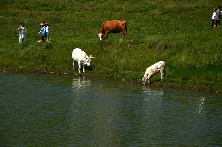DSC_8645.JPG
