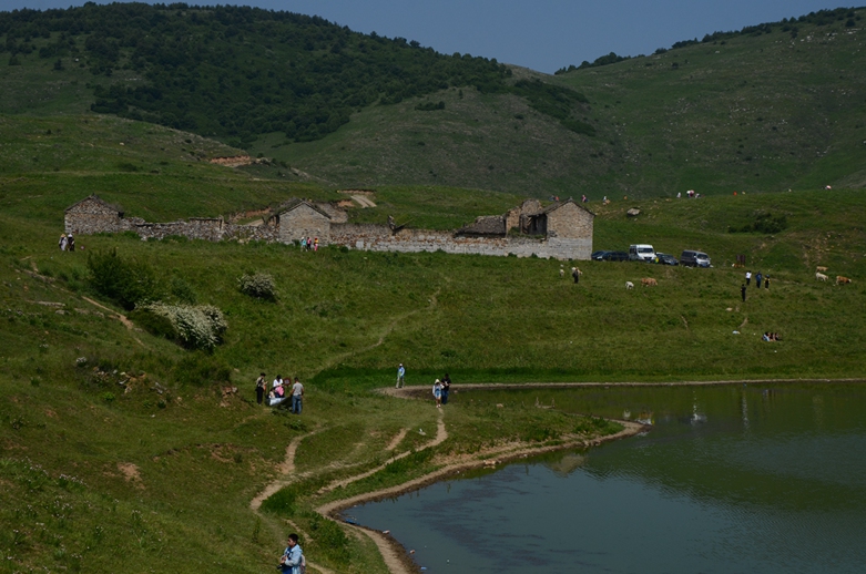 DSC_8639.JPG