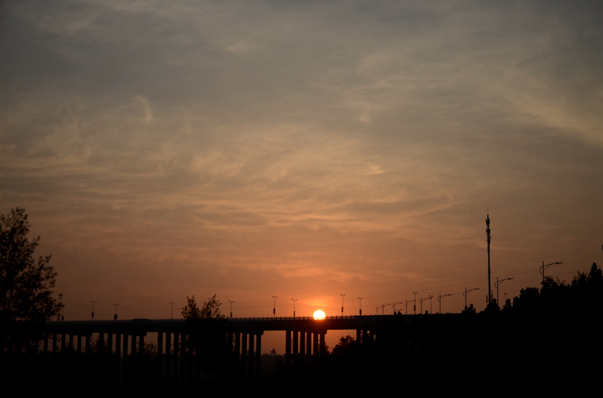 DSC_7915.JPG