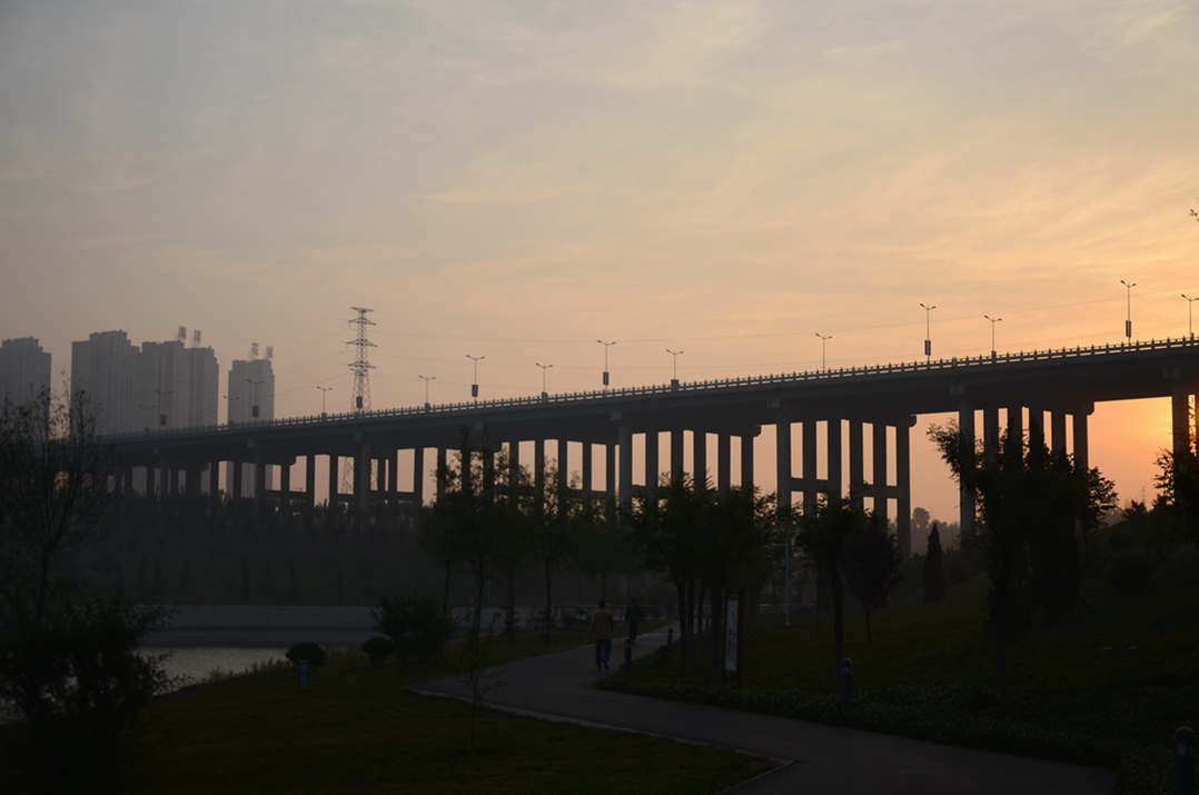 DSC_7920.JPG
