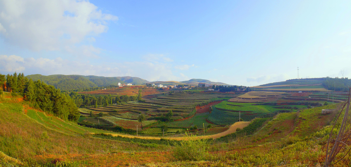 _DSC7991_副本.jpg
