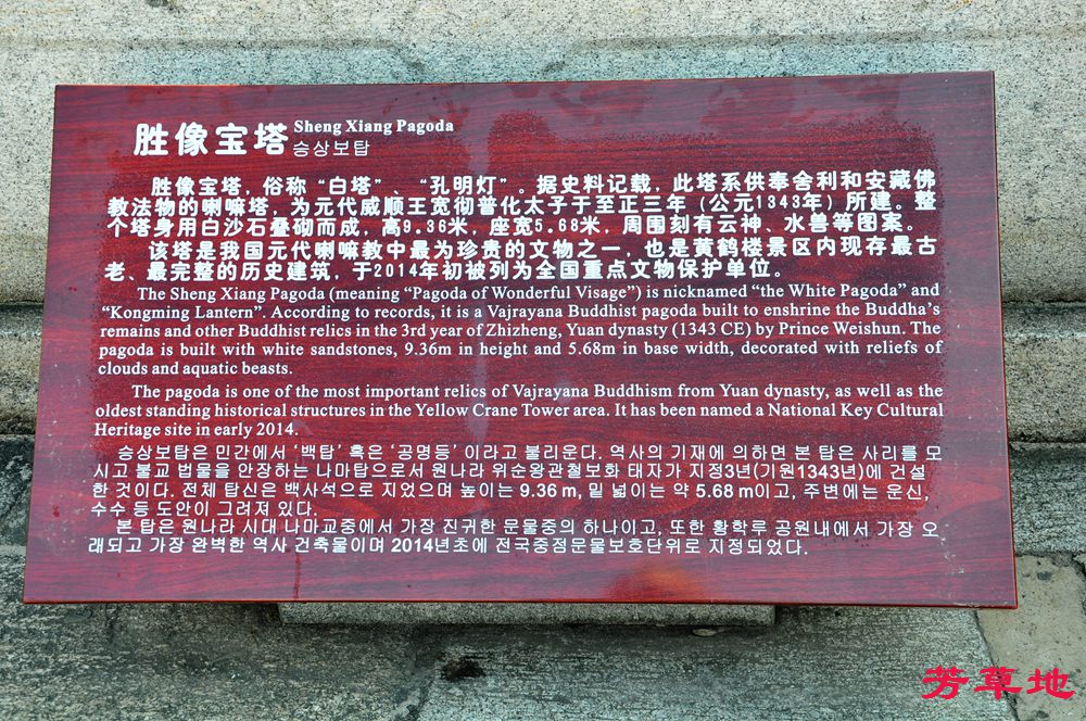 DSC_0682.jpg