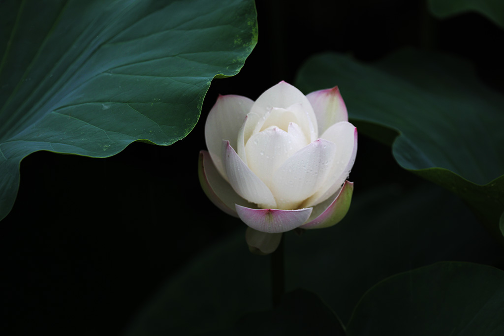 AS8E9625.jpg