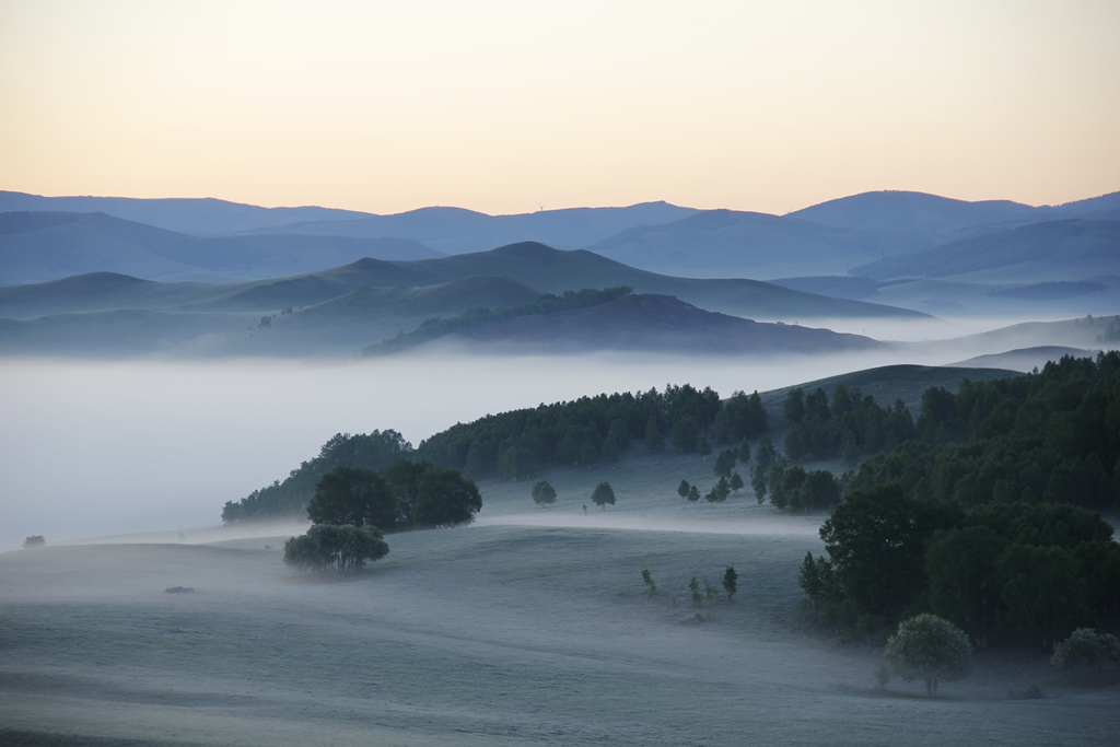 _MG_7827.JPG