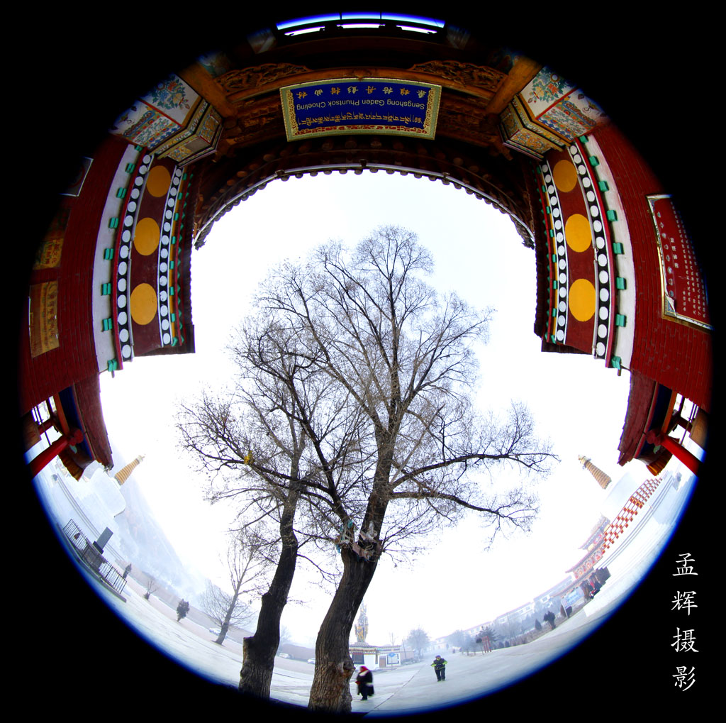 _MG_7311.JPG