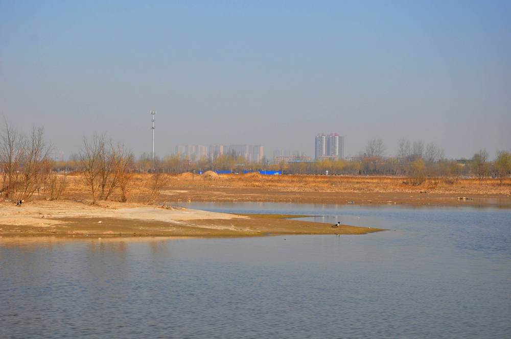 nEO_IMG_DSC_9148.jpg