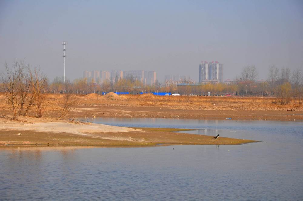 nEO_IMG_DSC_9149.jpg