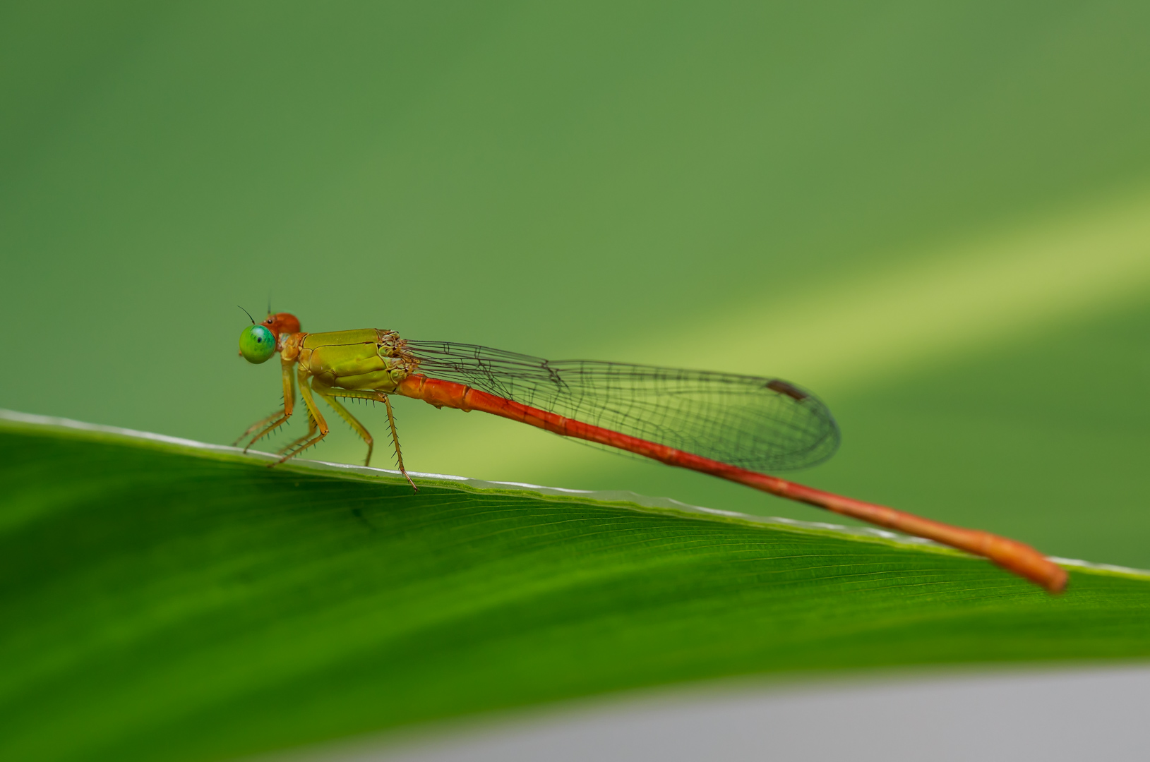 2I9A0550-编辑.jpg