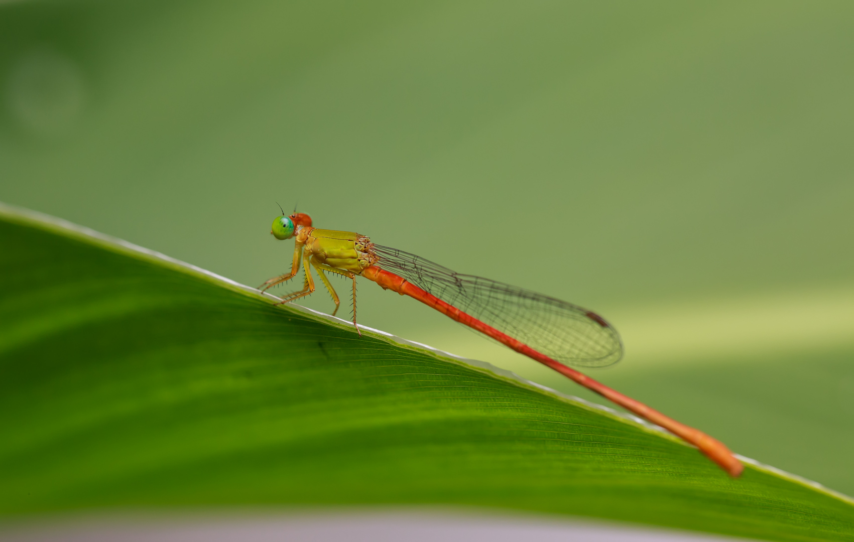 2I9A0553-编辑.jpg