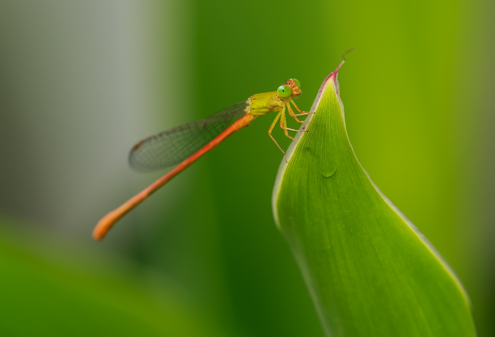 2I9A0558-编辑.jpg