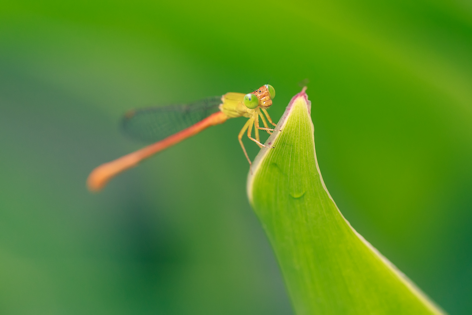 2I9A0564-编辑.jpg
