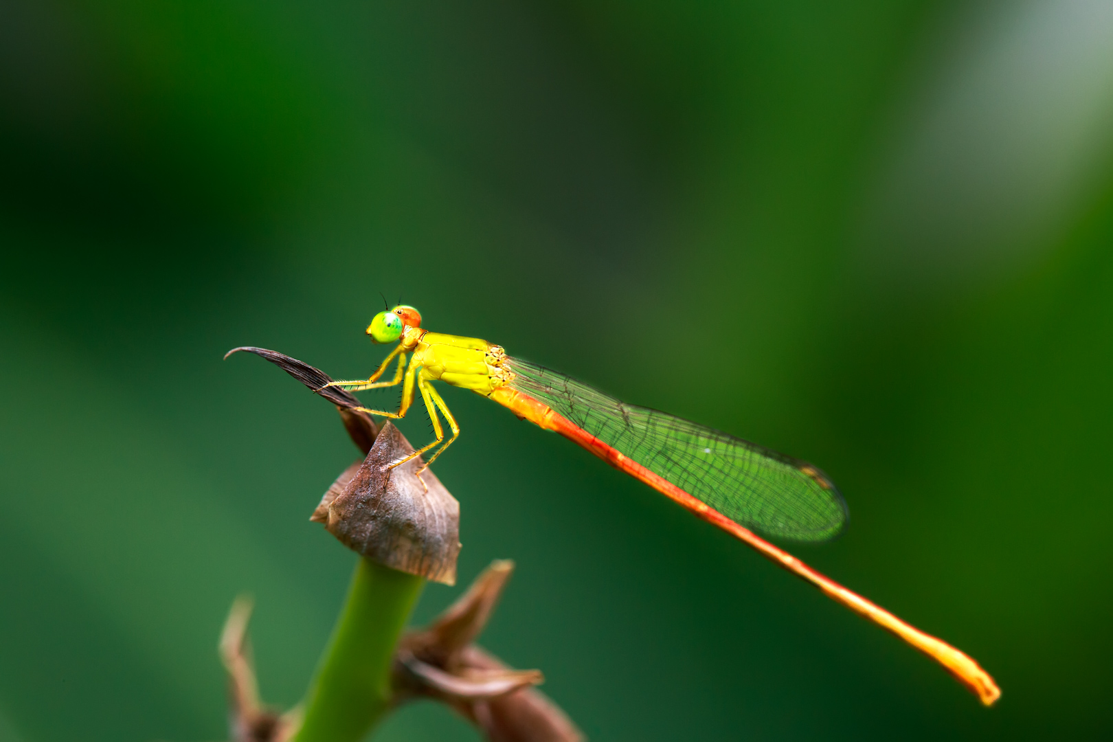 2I9A0588-编辑.jpg