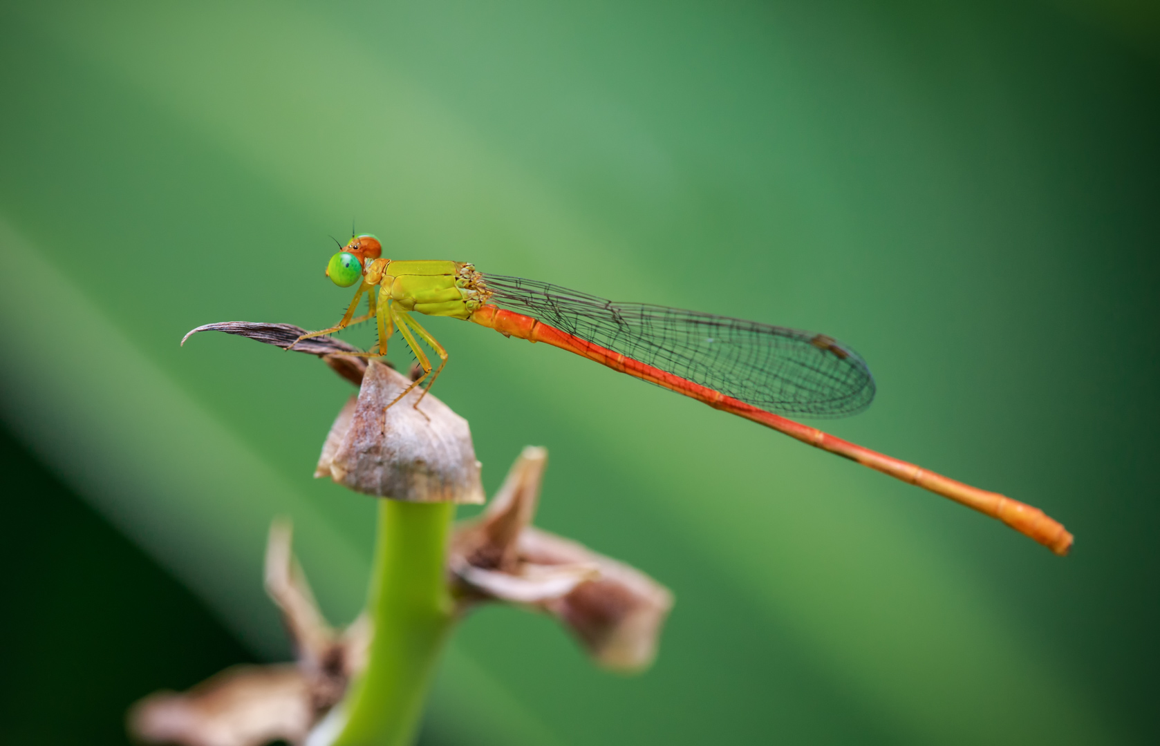 2I9A0607-编辑.jpg