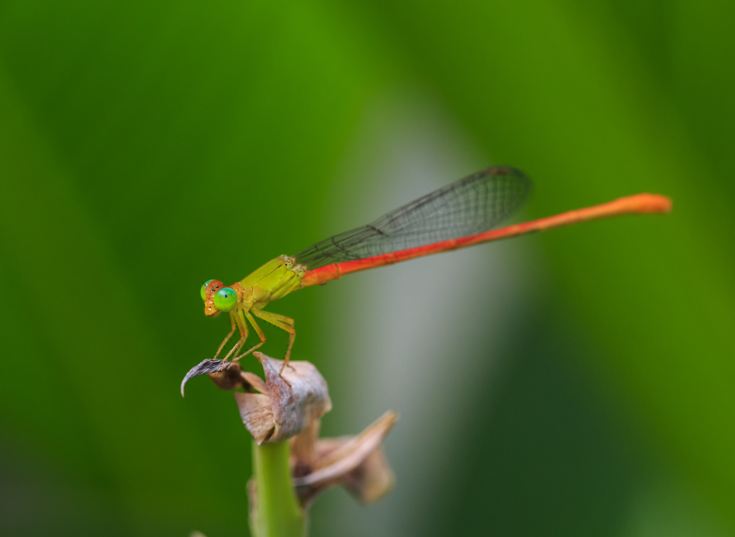 2I9A0623-编辑.jpg