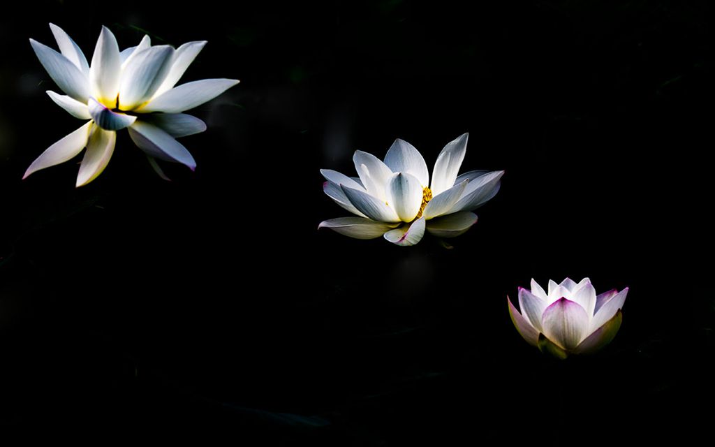 8E6A6601_副本.jpg