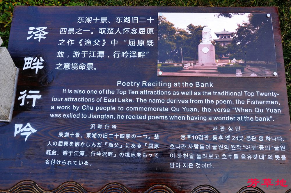 4=DSC_0987.jpg