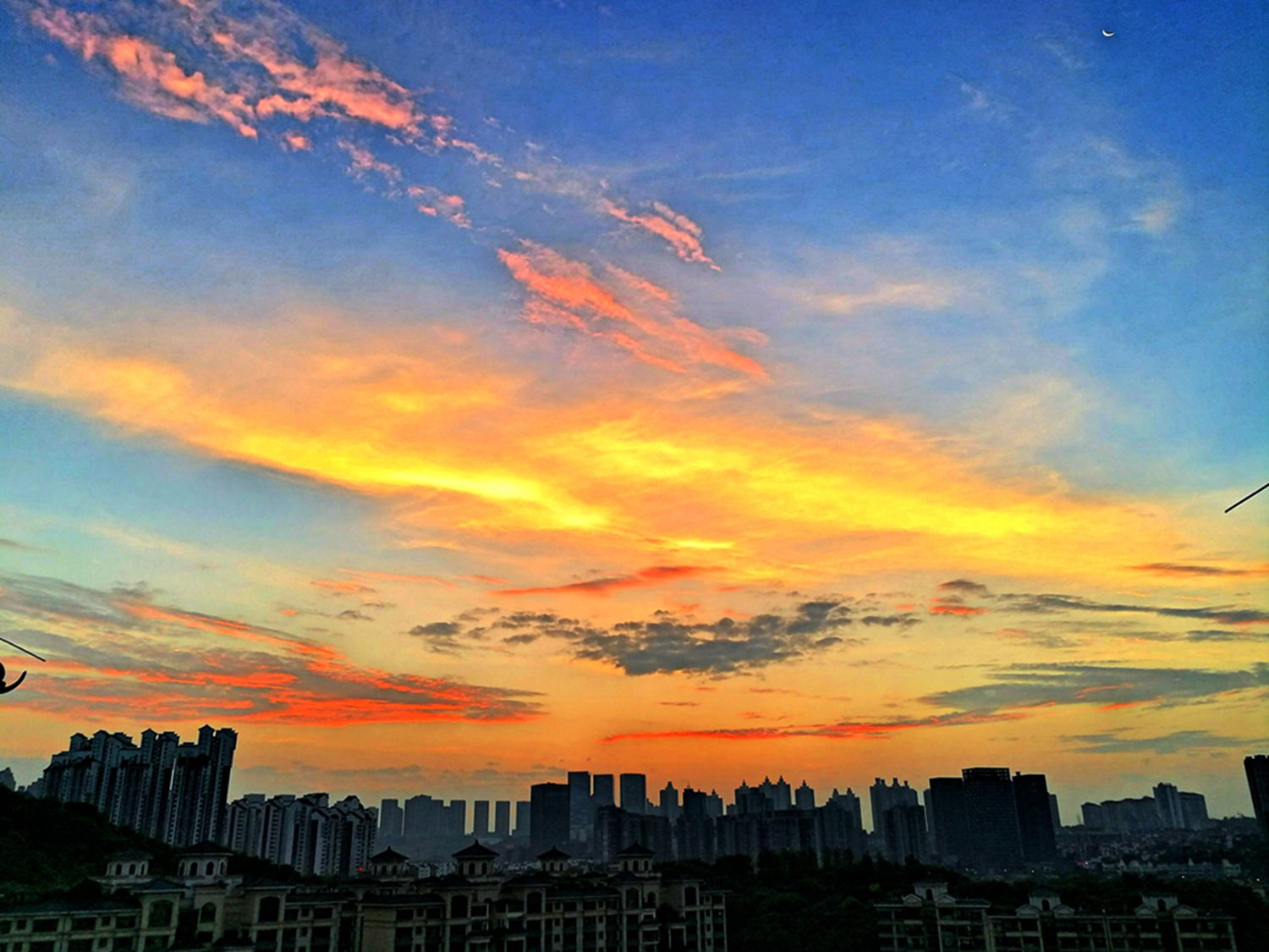IMG_20170720_060220 - 副本_HZP_副本.jpg