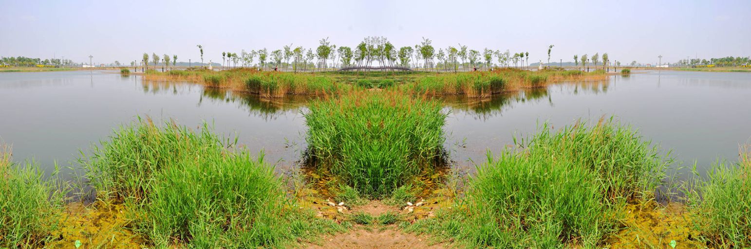 2262=.jpg