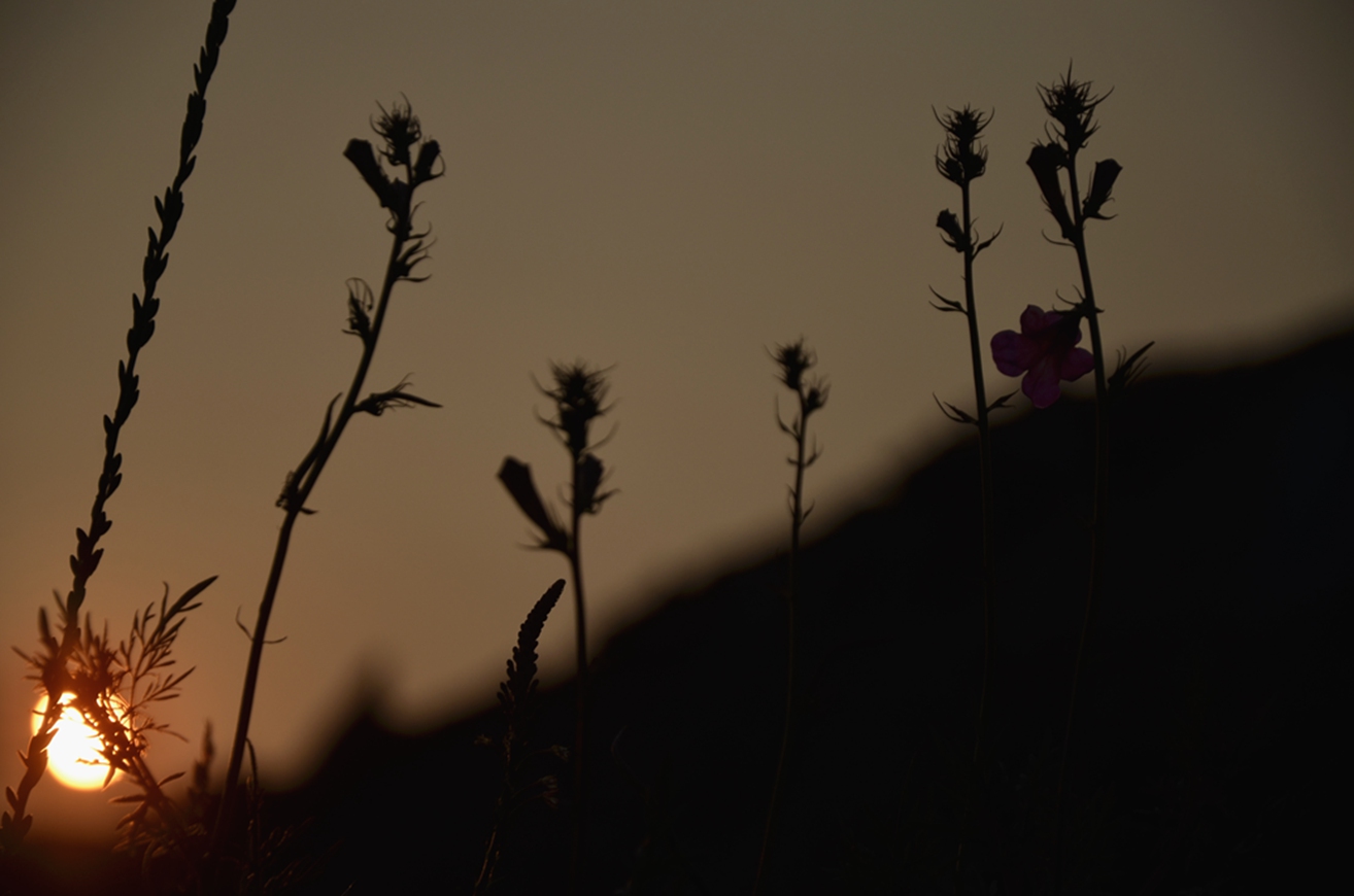 _DSC9057.JPG
