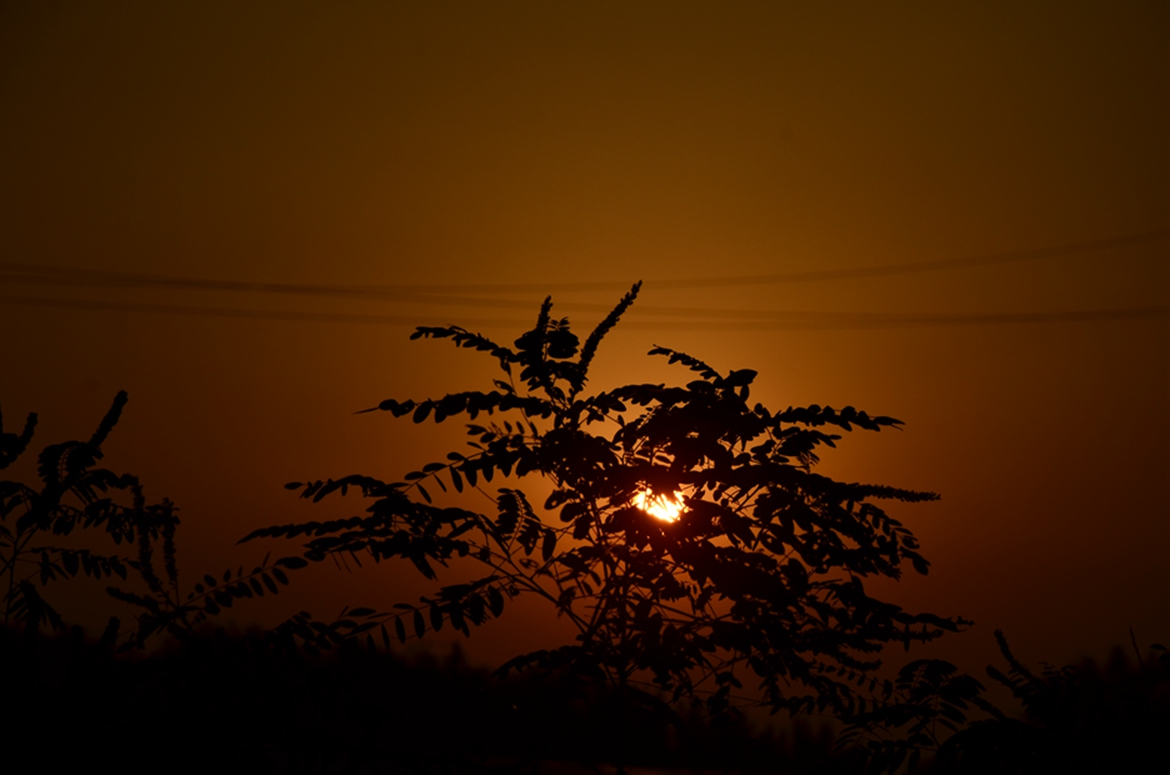 _DSC9750.JPG