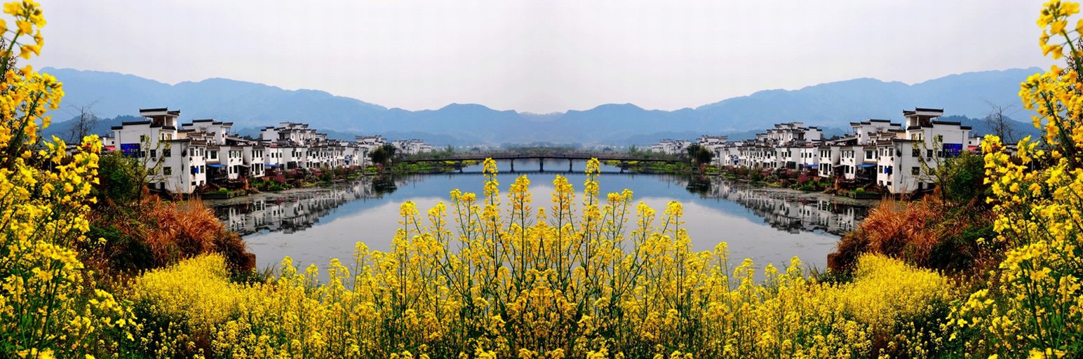 4457=.jpg