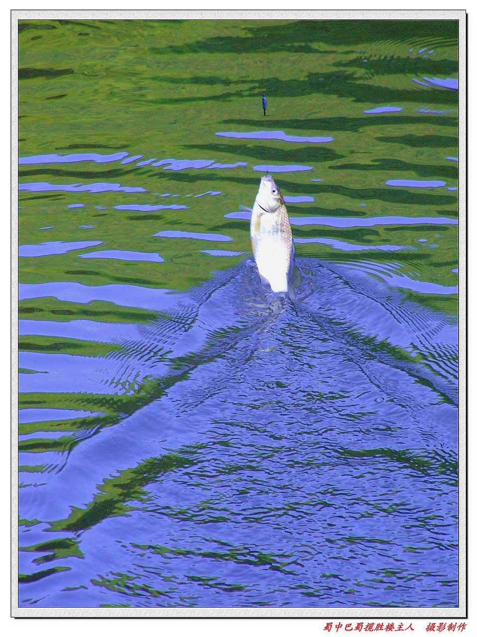 DSCF9737b.jpg