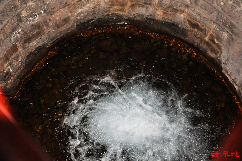 DSC_9244.jpg
