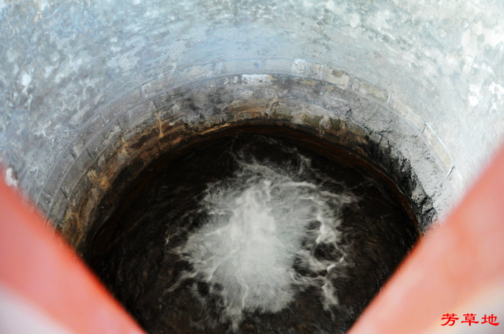 DSC_9254.jpg