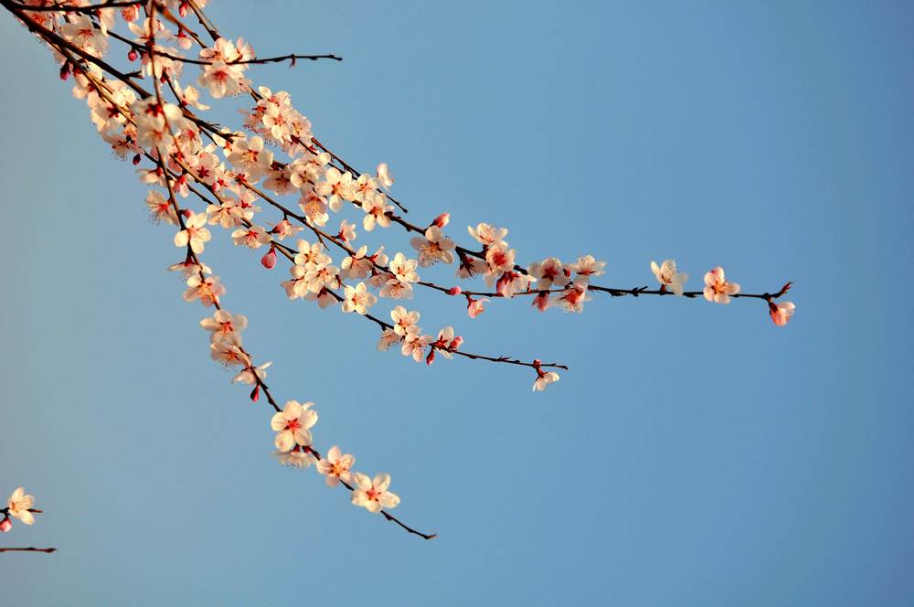 nEO_IMG_DSC_9262.jpg