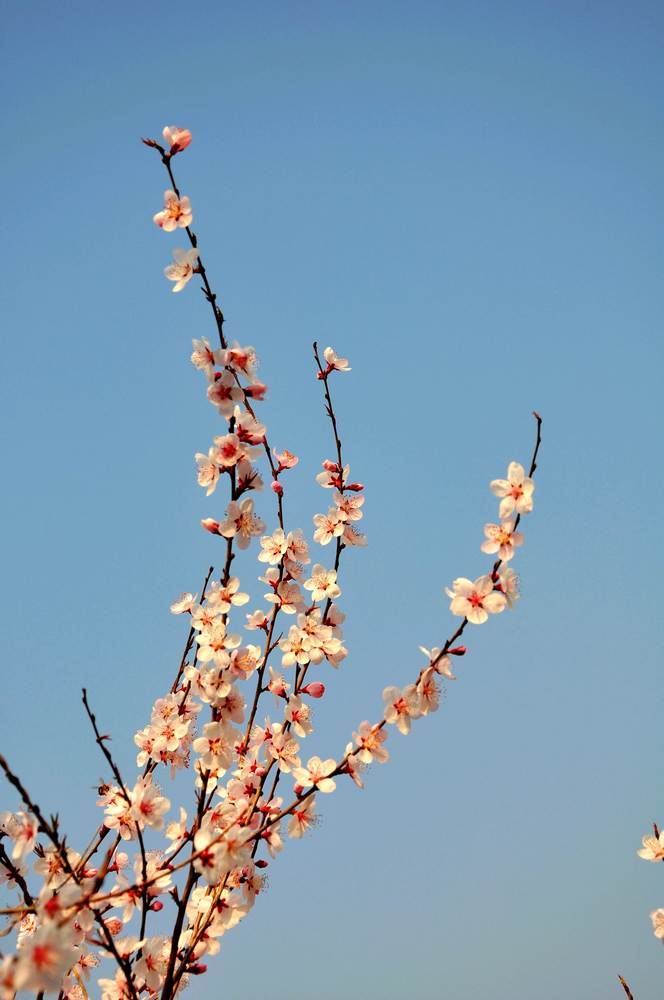 nEO_IMG_DSC_9264.jpg
