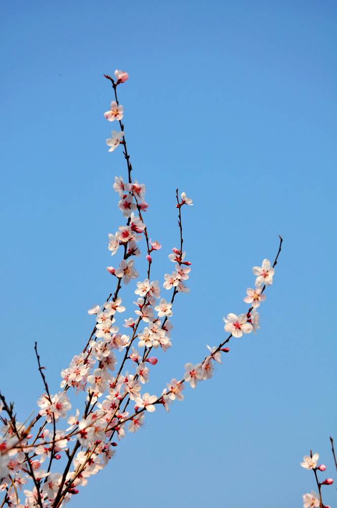 nEO_IMG_DSC_9266.jpg