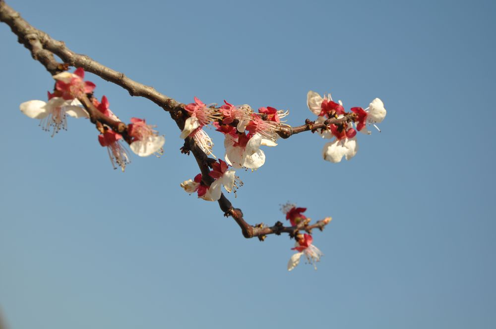 1=nEO_IMG_DSC_9358.jpg
