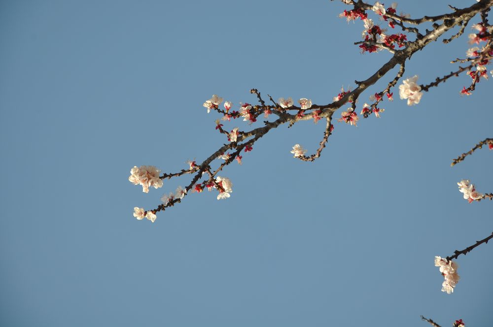 2=nEO_IMG_DSC_9350.jpg