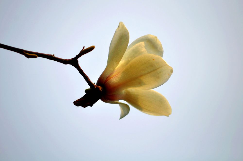 nEO_IMG_DSC_9376.jpg