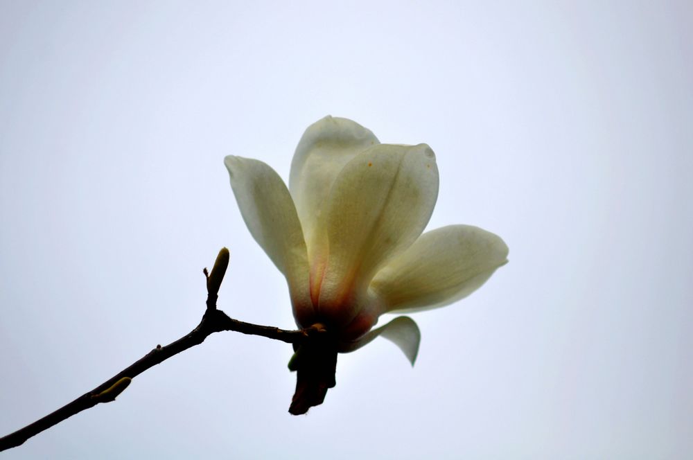 nEO_IMG_DSC_9378.jpg