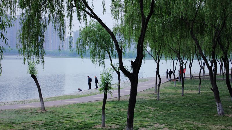 IMG_2010.JPG