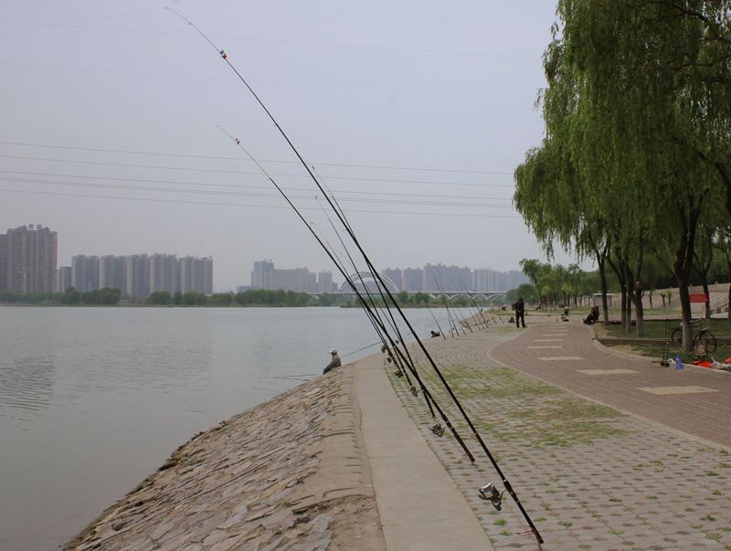 IMG_2036.JPG